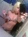 swingers18
