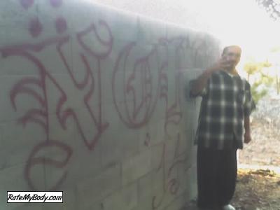 sylk
