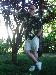 TALLMAN6FT9