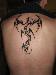 tom_992