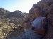 tommy_lc_200