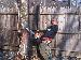 treeking