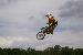 trevormx
