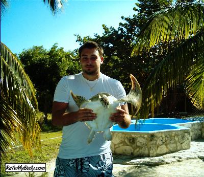 vianeantis