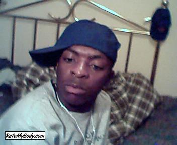wayne_bird