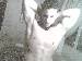 wendigo_x