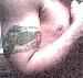 wild_funk