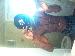 Yodaddy254