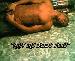 young_chuck