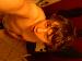 zackierawr